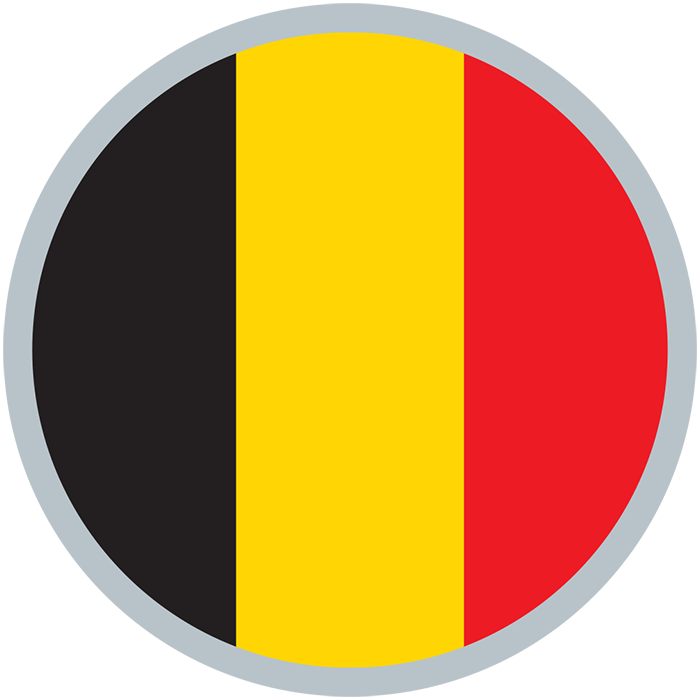 Belgian First Division A Flag