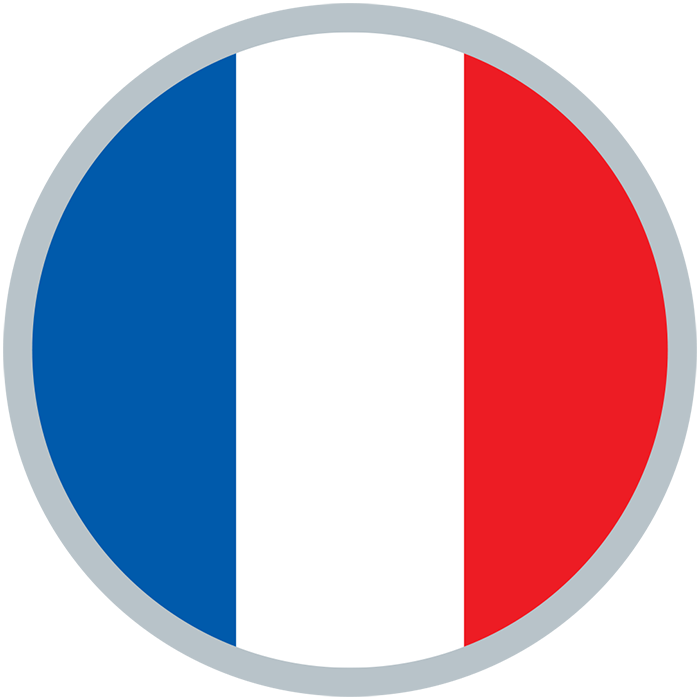 French Ligue 1 Flag